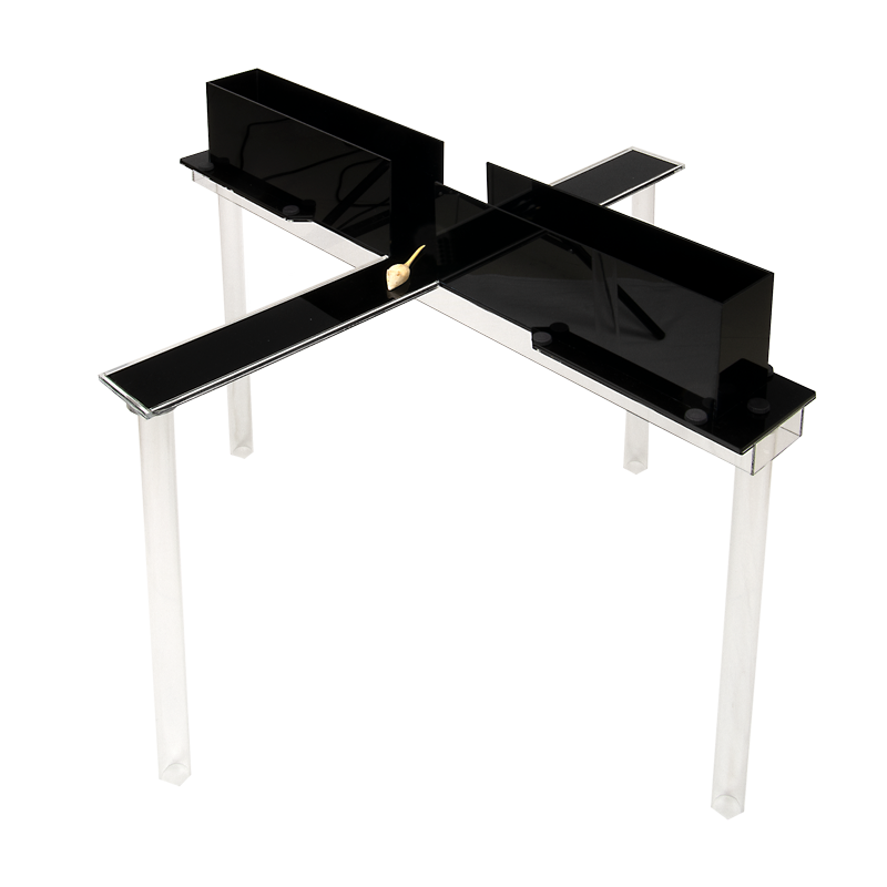 Infrared transparent Elevated Plus Maze for mice