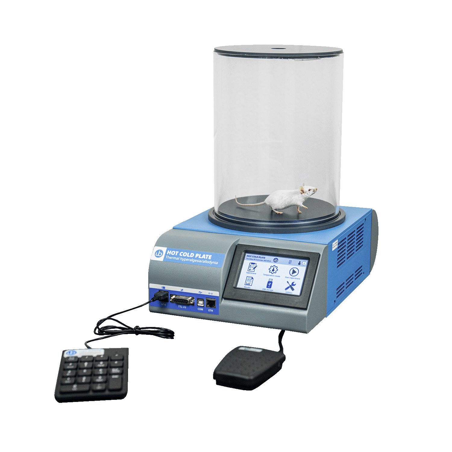 Hot/Cold Plate - Screening of Thermal Hyperalgesia/Allodynia