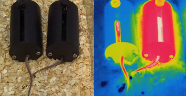 Romanovsky Holder normal vison vs IR Vision