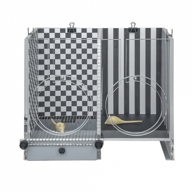 Fear Conditioning System Front Observational Cage Frontal view, for social Fear Conditioning.